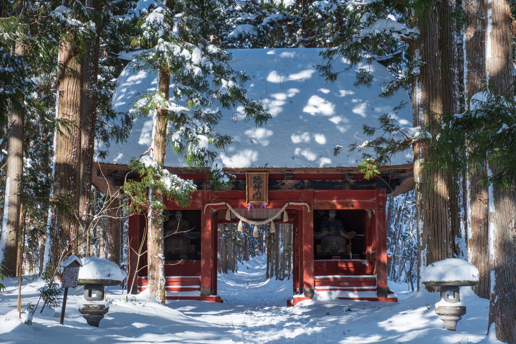 Togakushi Shrine cedar avenue