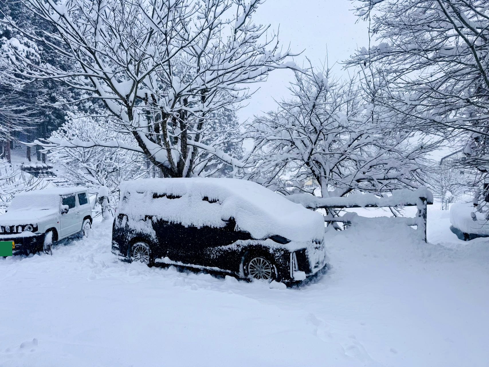5-seat minivan in Hakuba snow