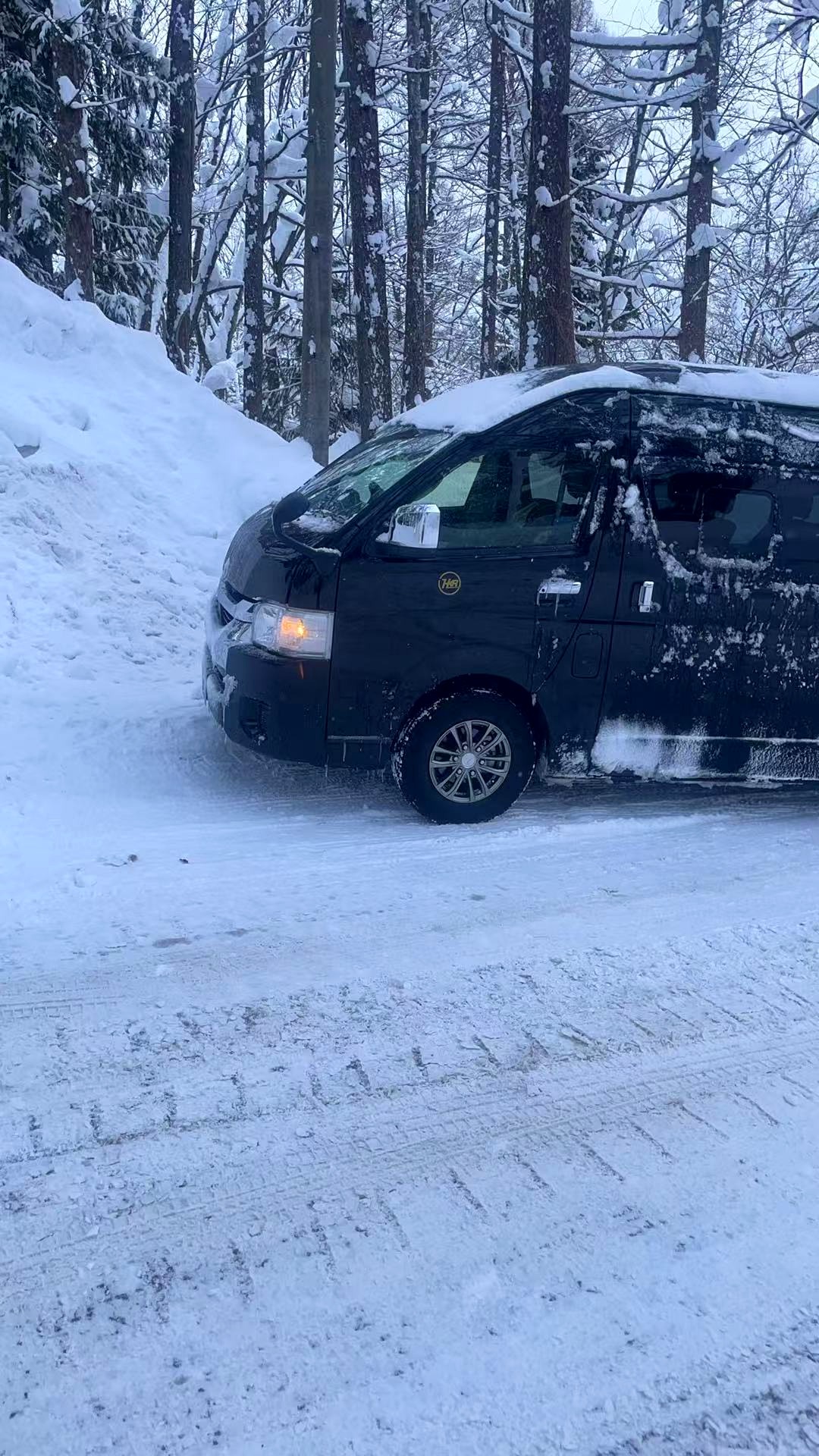 9-seat minibus forest pickup