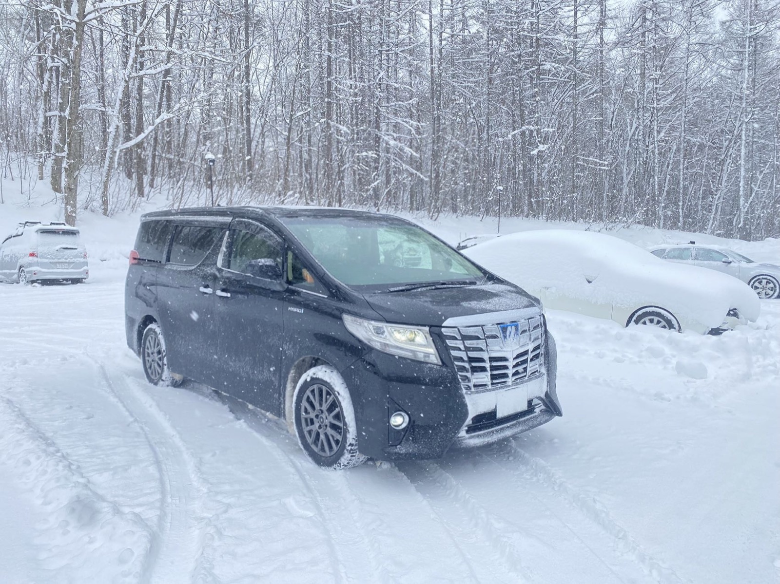 5-seat minivan winter transfer