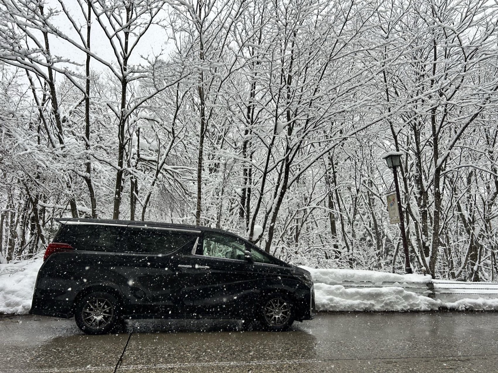 Private transfer vehicle beside a snow-covered forest in Hakuba